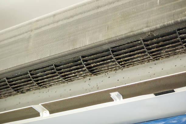 Best Home Air Vent Cleaning  in Tamaqua, PA